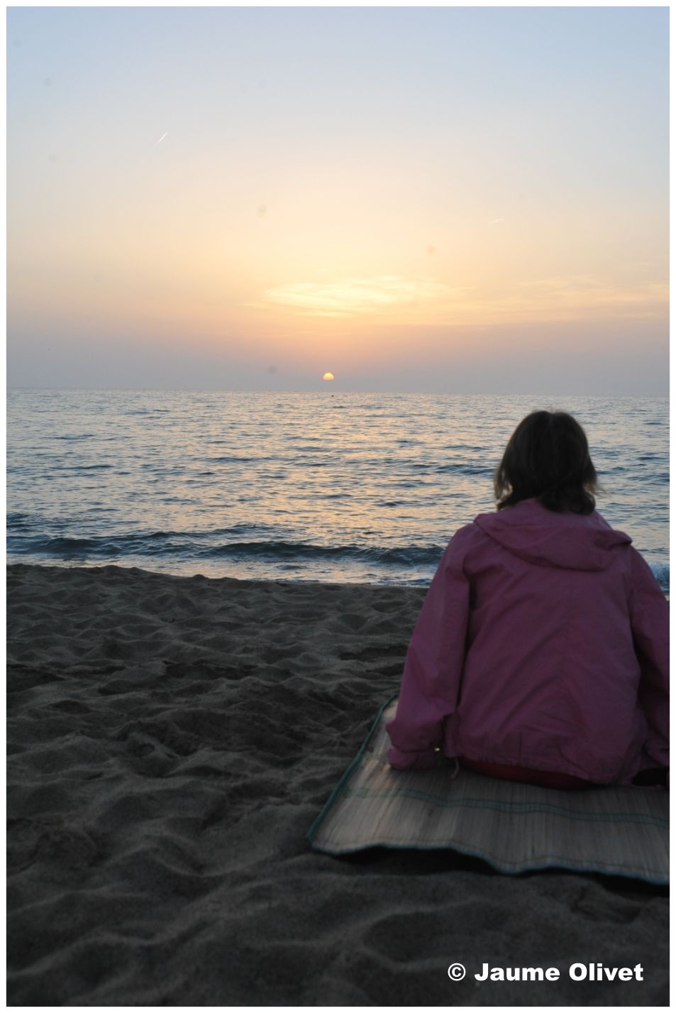 � Jaume Olivet 2010