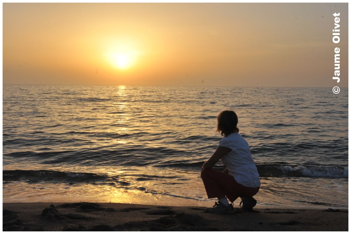 � Jaume Olivet 2010