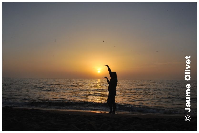 � Jaume Olivet 2010