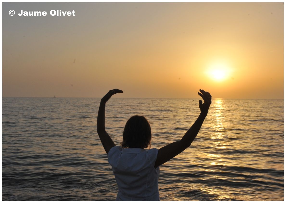 � Jaume Olivet 2010