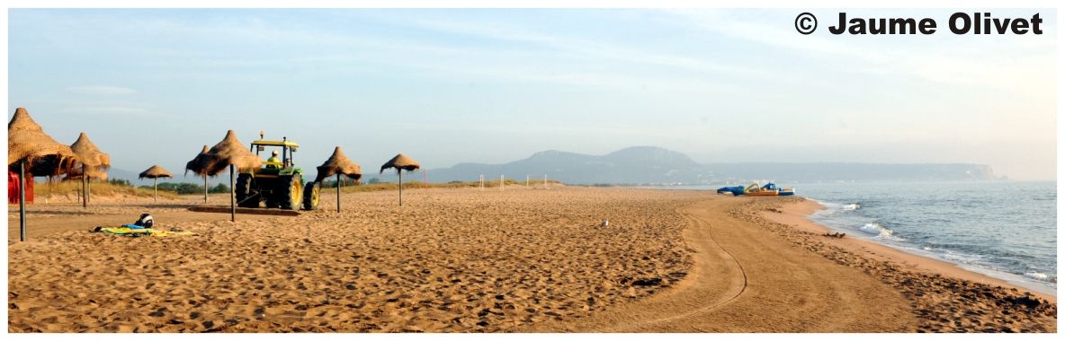 � Jaume Olivet 2010