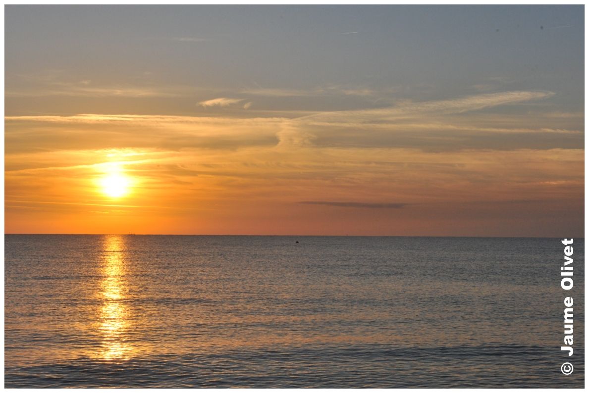 � Jaume Olivet 2010
