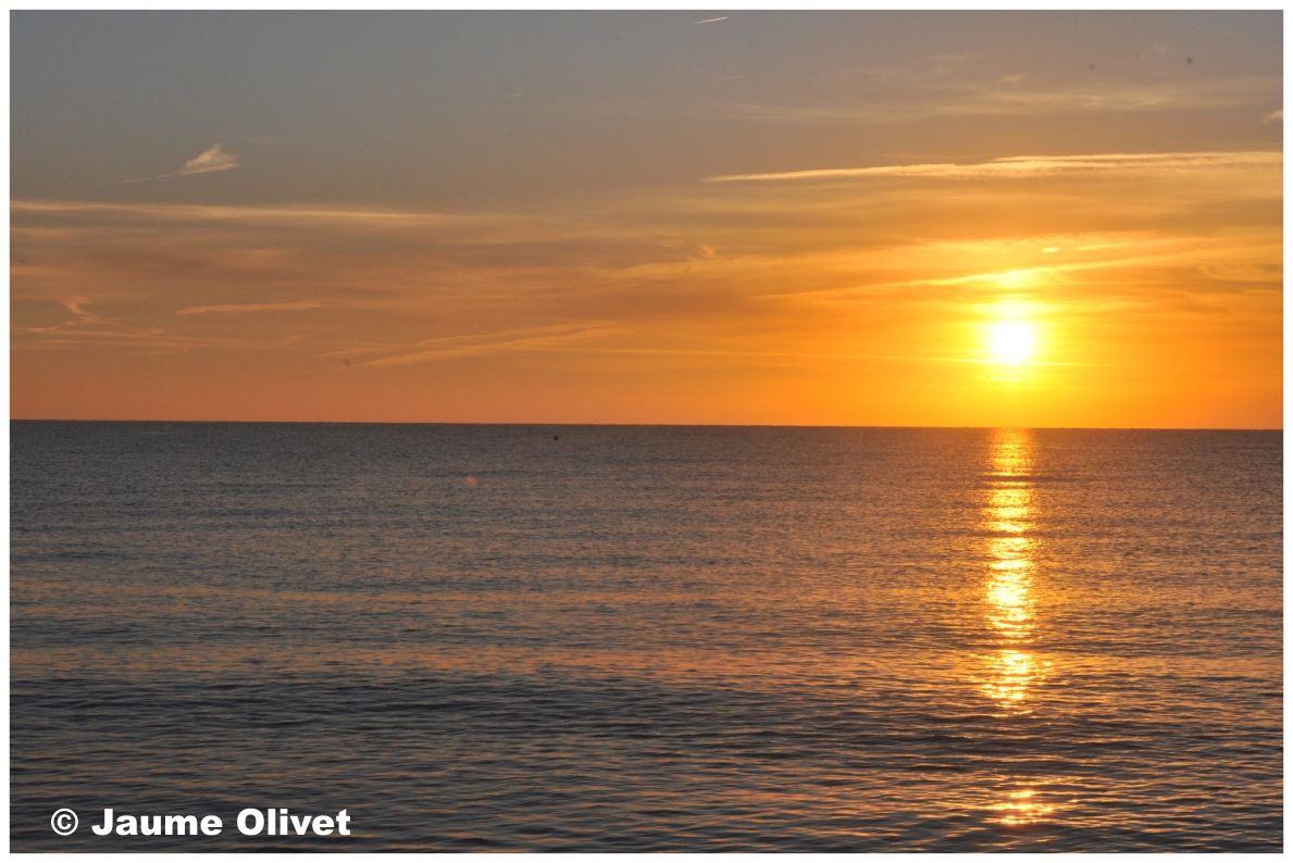 � Jaume Olivet 2010