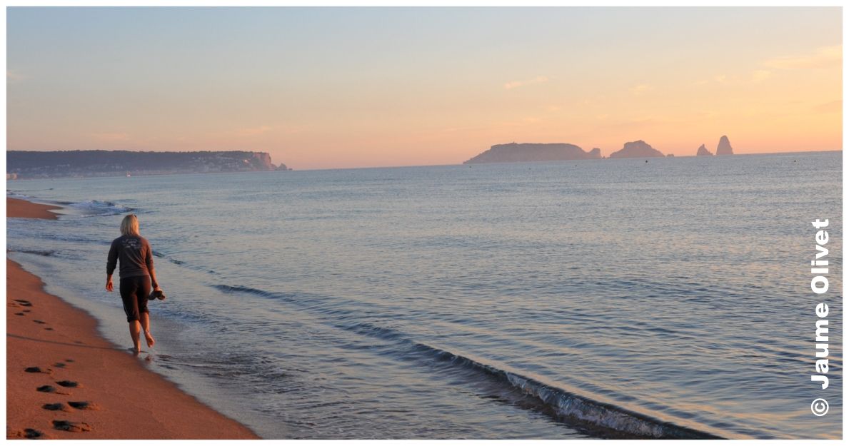 � Jaume Olivet 2010