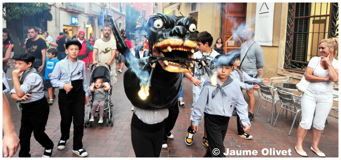 drac_0024 � Jaume Olivet