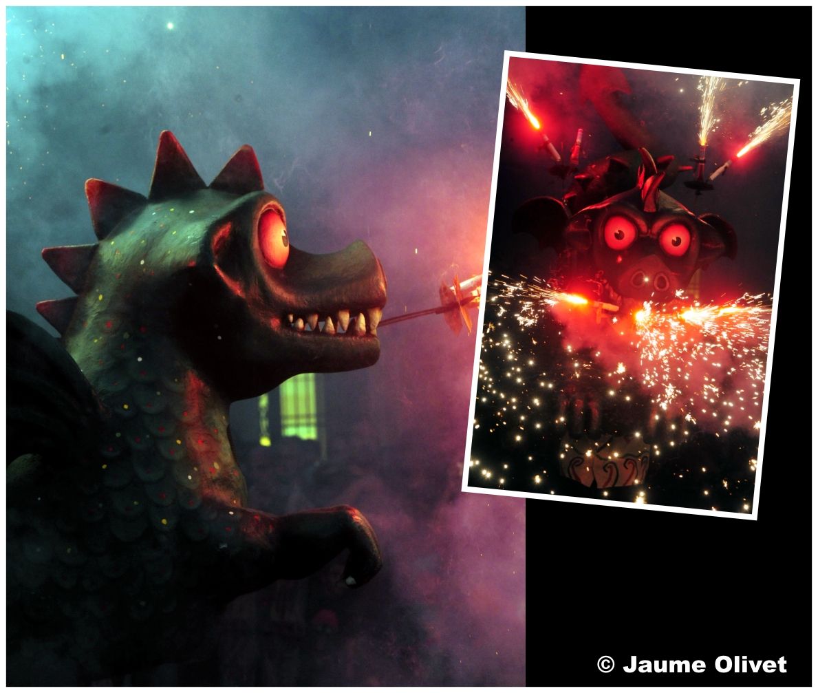 drac_0029 � Jaume Olivet