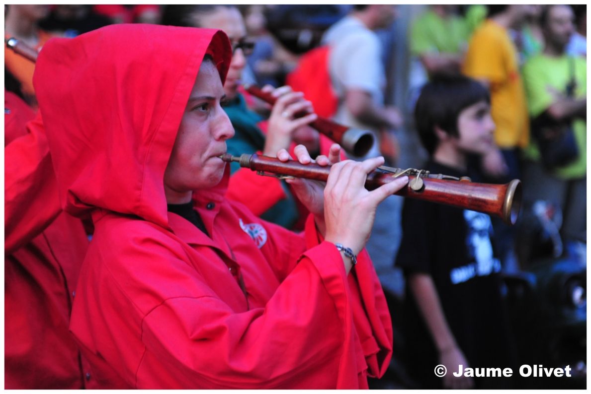 drac_0031 � Jaume Olivet