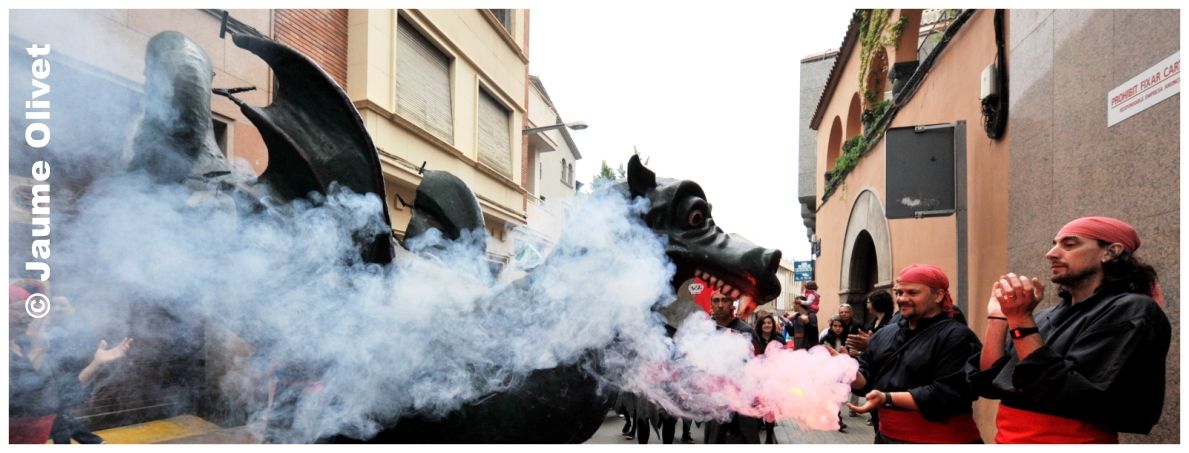 M2011_0403 � Jaume Olivet