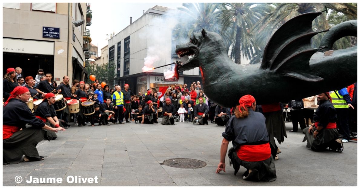 M2011_0404 � Jaume Olivet