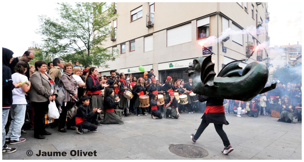 M2011_0410 � Jaume Olivet