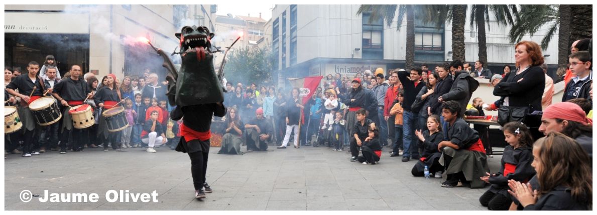 M2011_0411 � Jaume Olivet