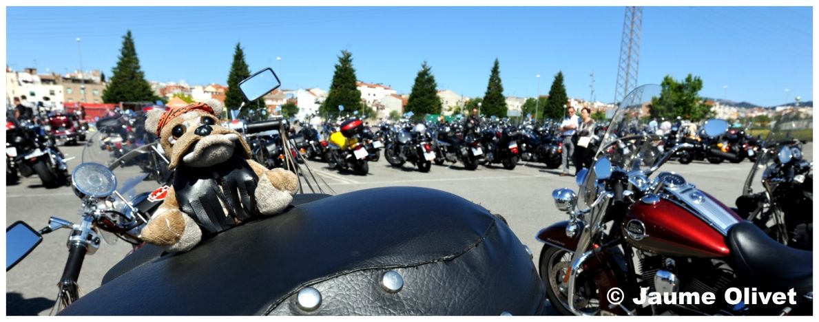 Motos 0082 � Jaume Olivet