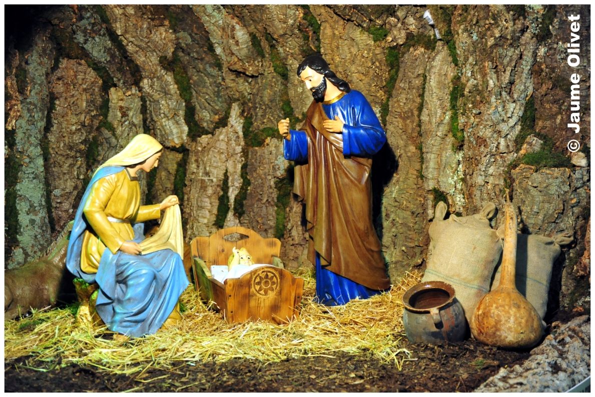 � Jaume Olivet 2011