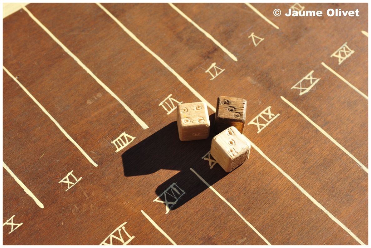 opennatura_0117 � Jaume Olivet