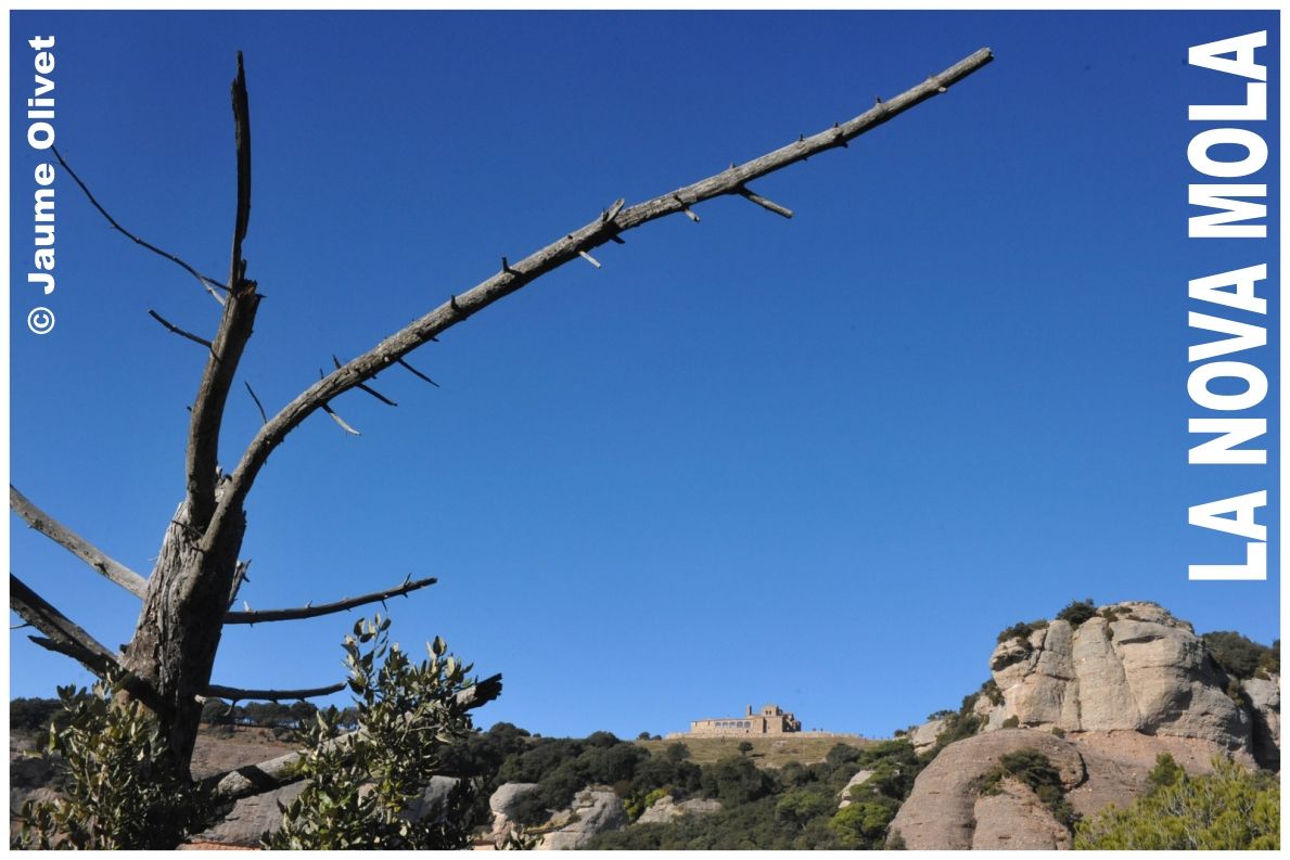 � Jaume Olivet 2011