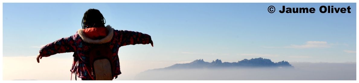 � Jaume Olivet 2011