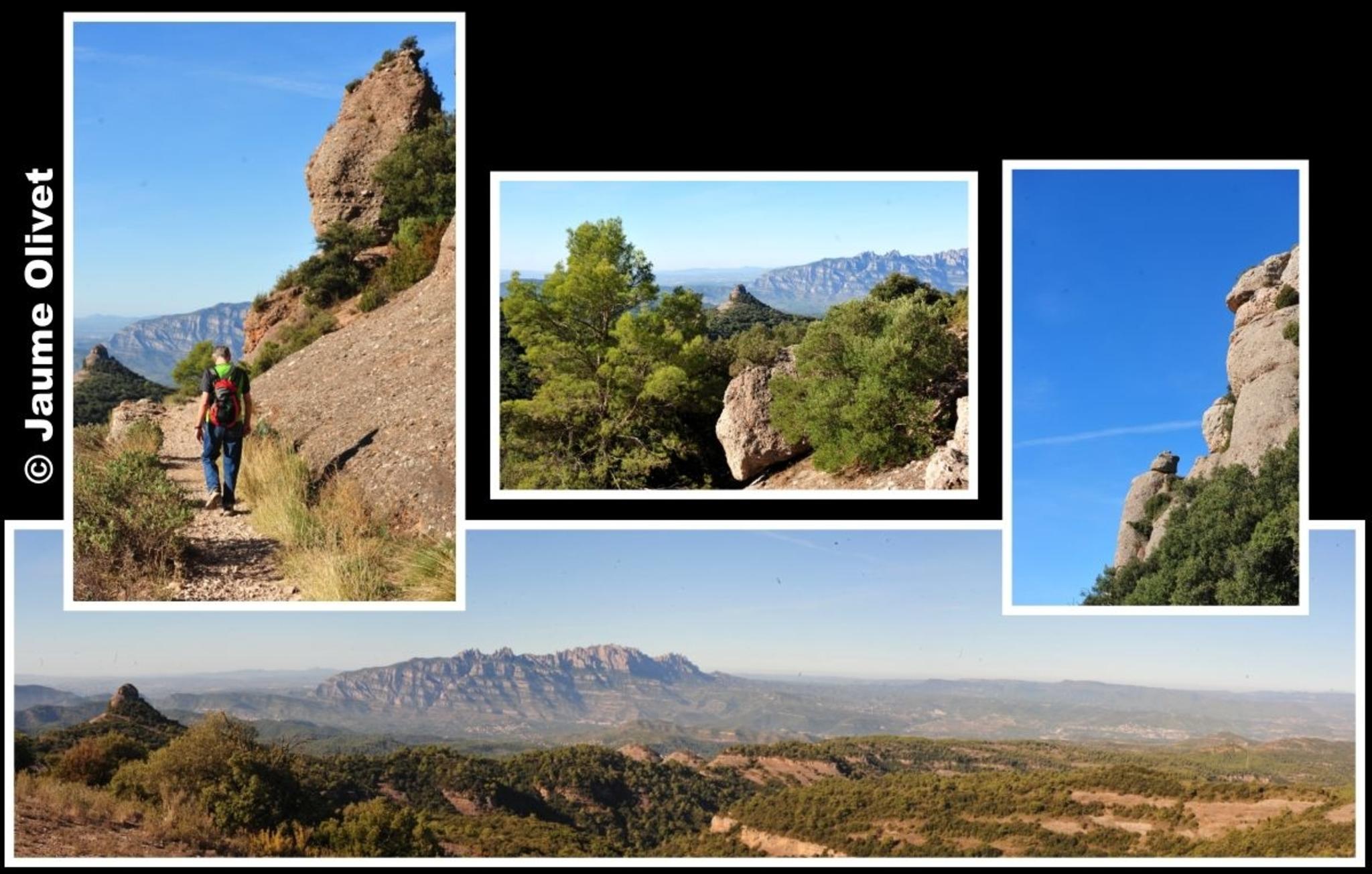 � Jeuma Olivet 2011