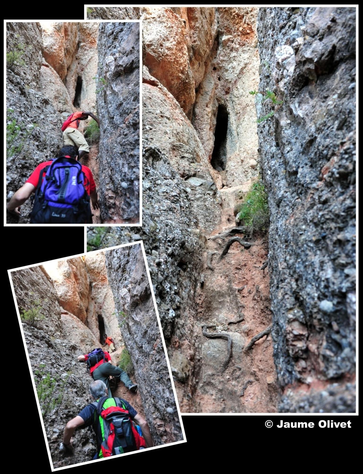 � Jeuma Olivet 2011