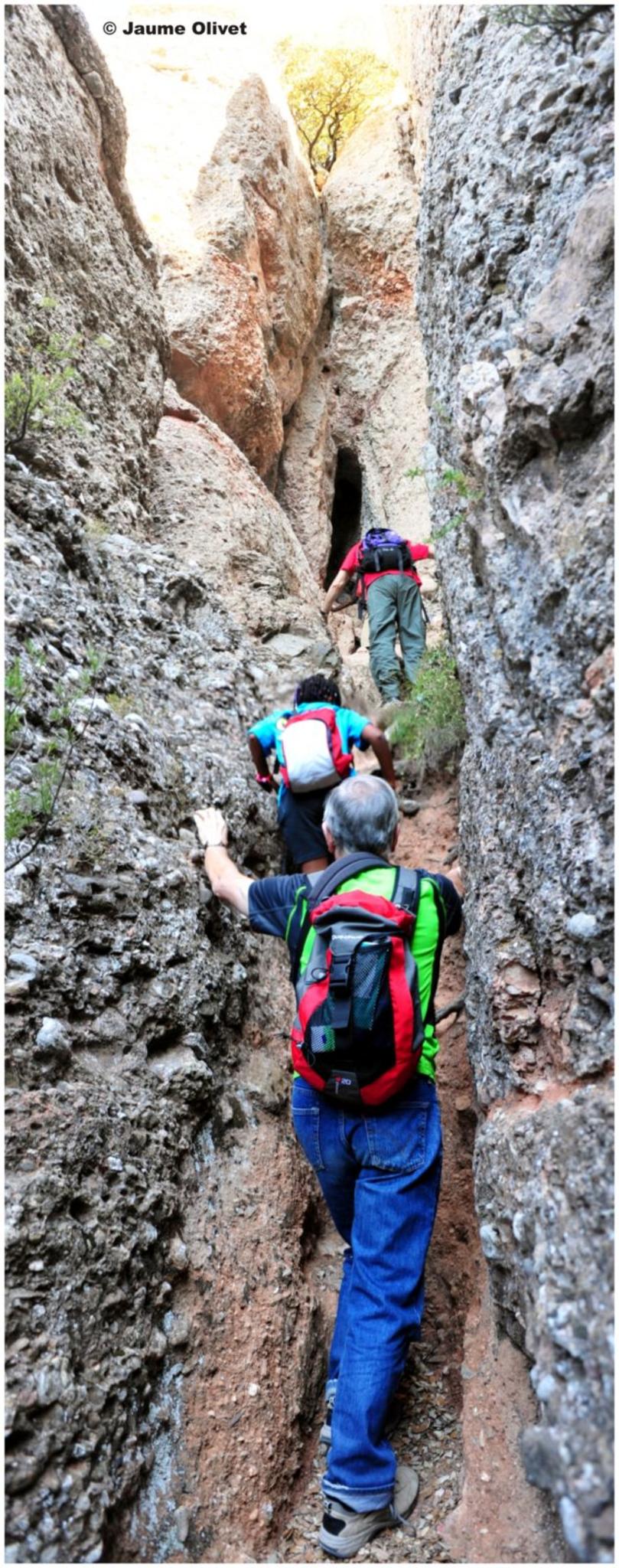 � Jeuma Olivet 2011