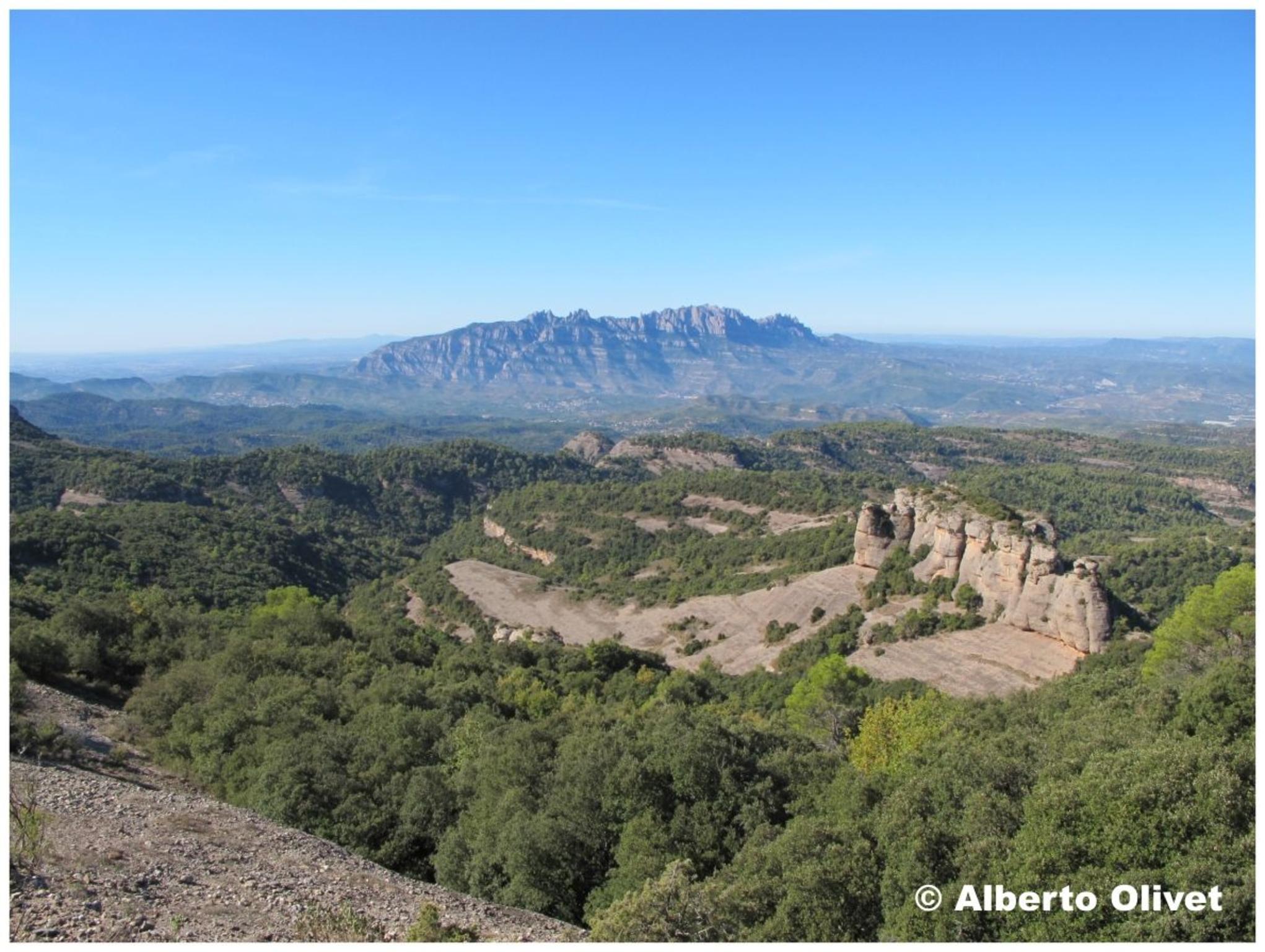 � Jeuma Olivet 2011