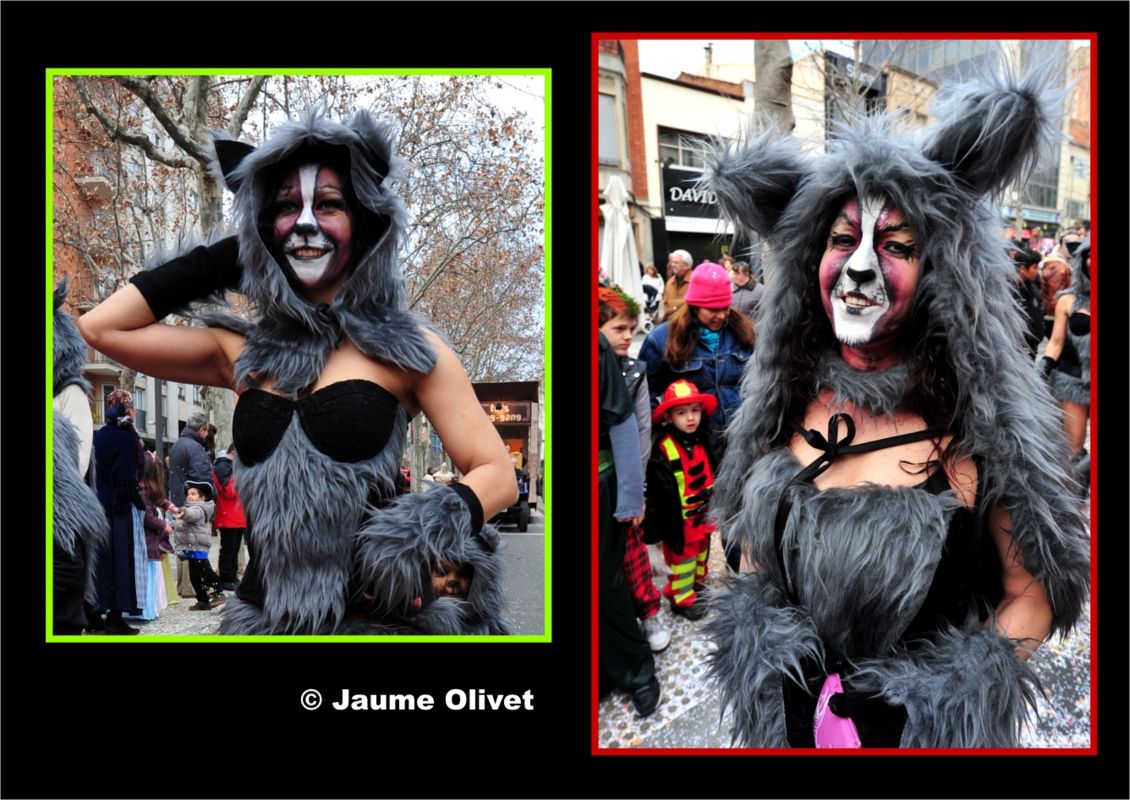C2012_0515 � Jaume olivet