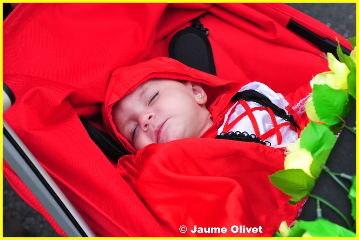 C2012_0520 � Jaume olivet