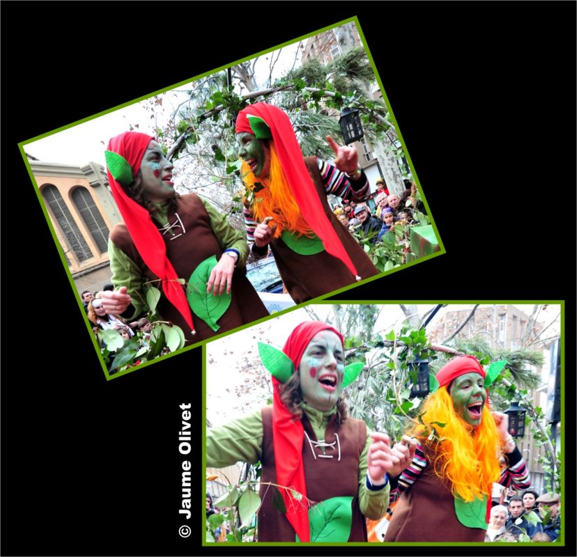 C2012_0504 � Jaume olivet