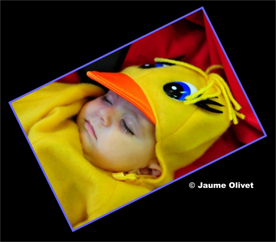 C2012_0819 � Jaume olivet