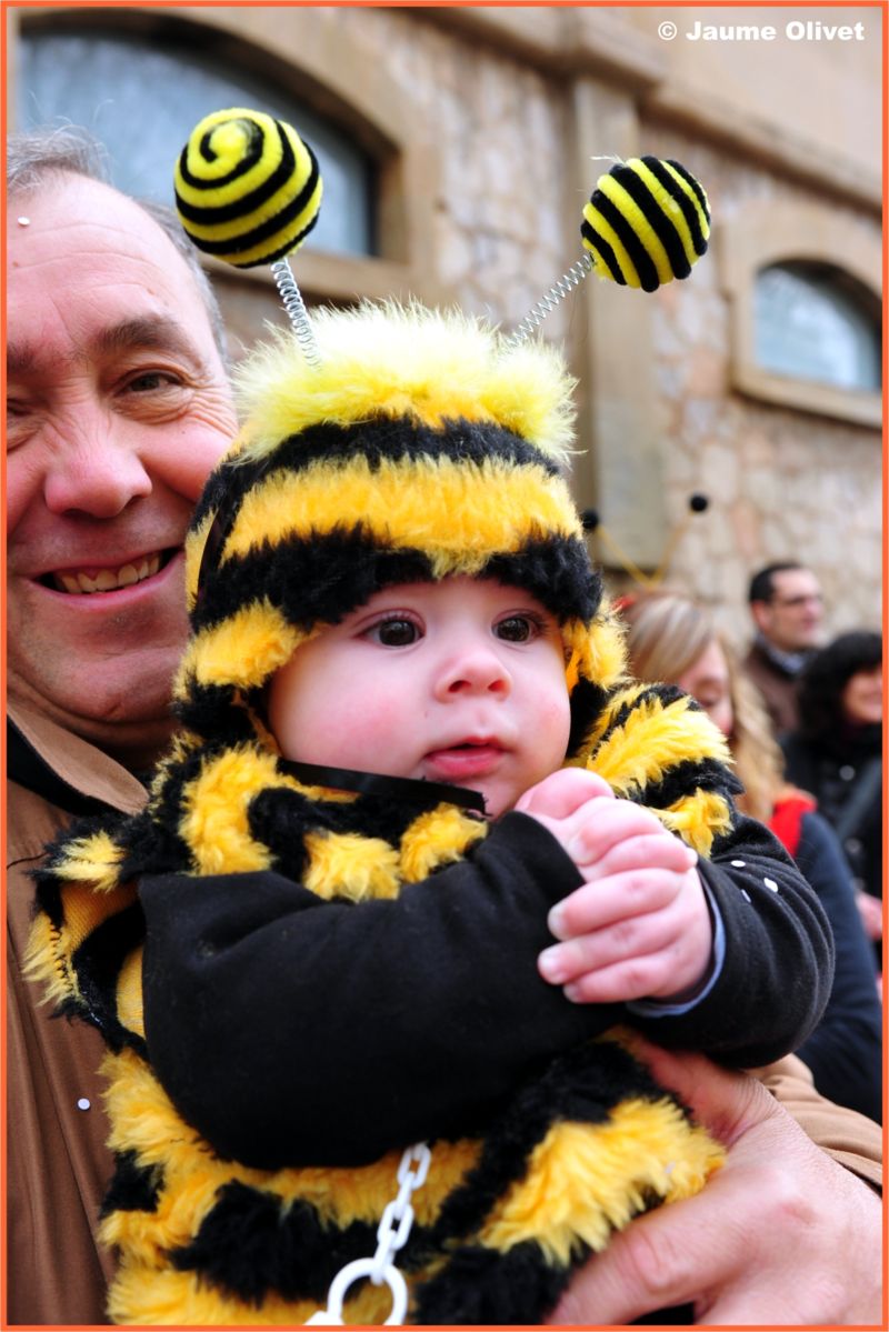 C2012_1007 � Jaume olivet