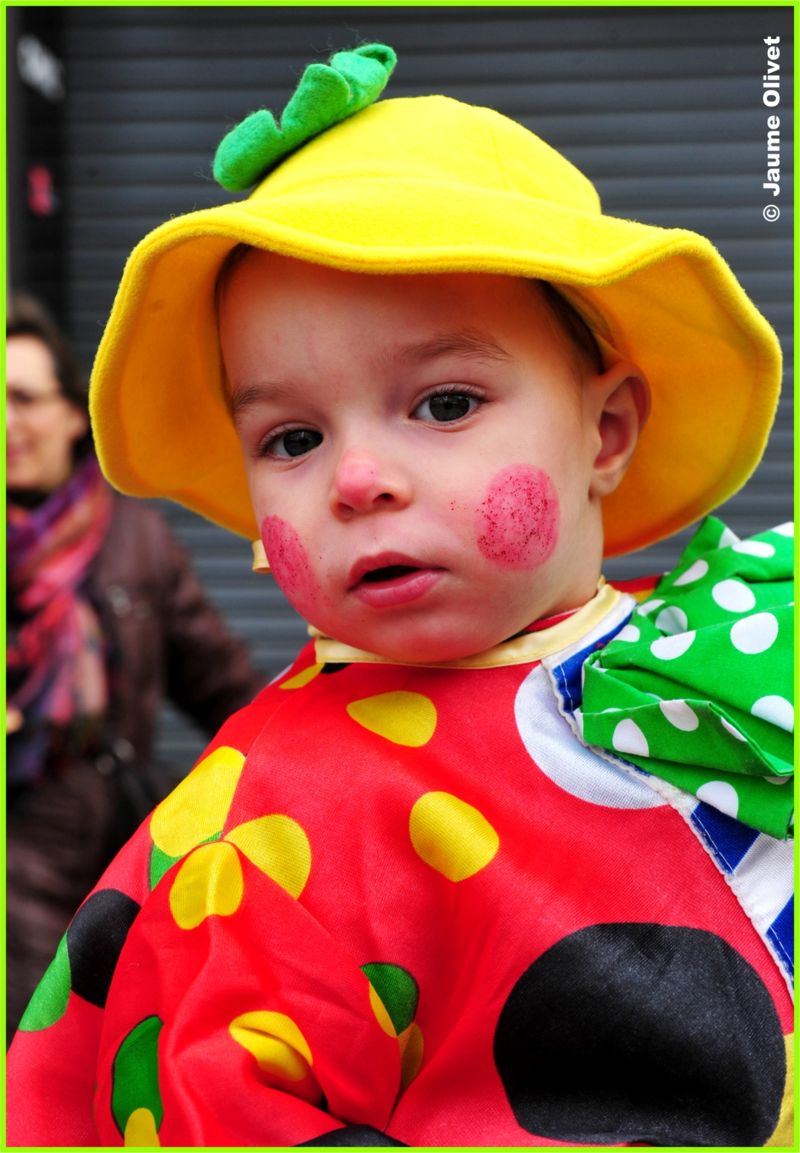 C2012_1008 � Jaume olivet