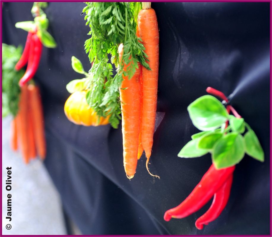 C2012_1410 � Jaume olivet