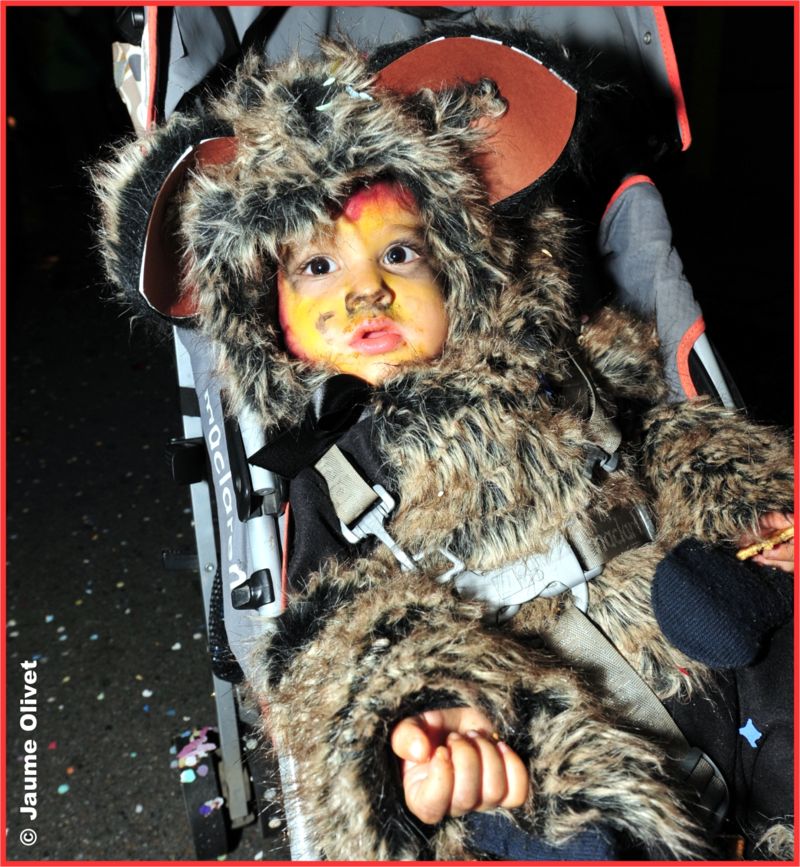 C2012_3106 � Jaume olivet