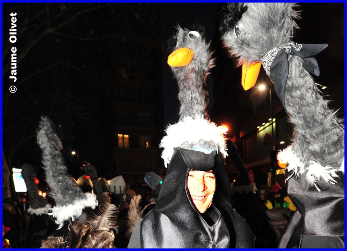 C2012_3804 � Jaume olivet