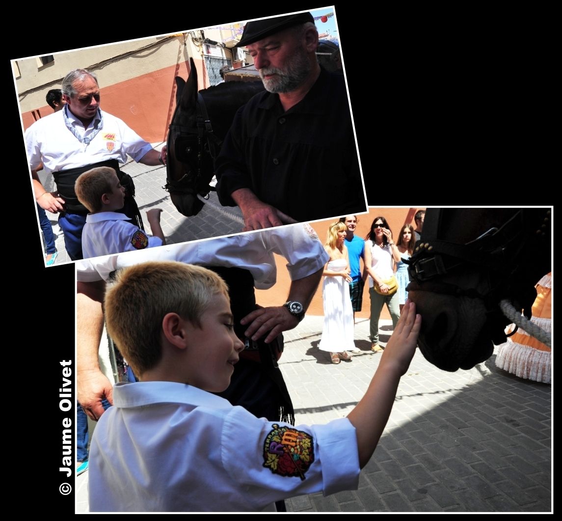 SP 0304 � Jaume Olivet