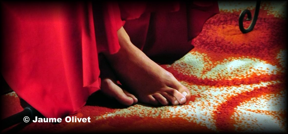 � Jaume Olivet 2012