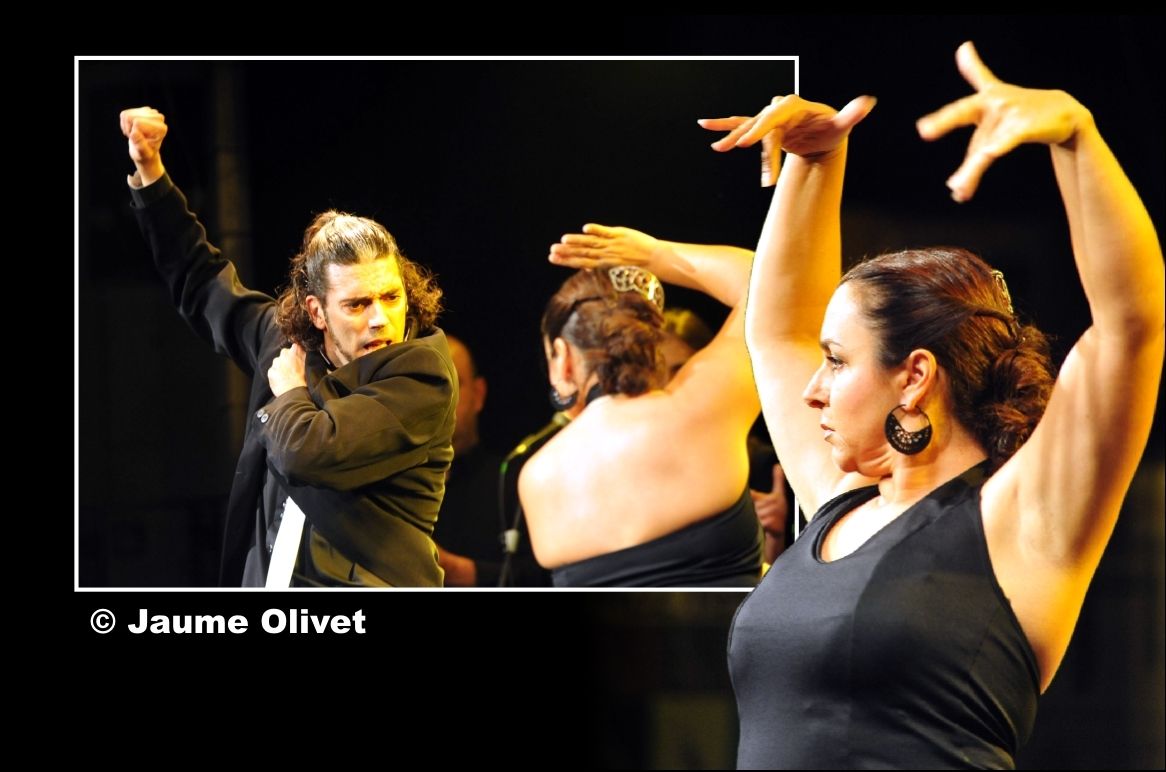 � Jaume Olivet 2012