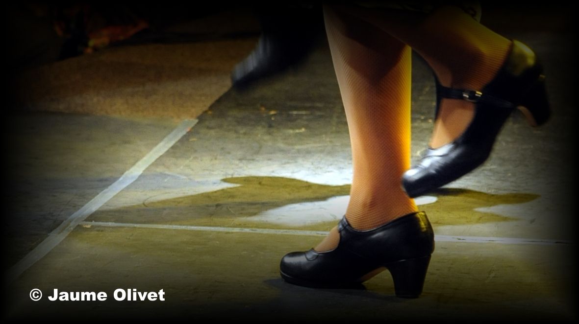 � Jaume Olivet 2012