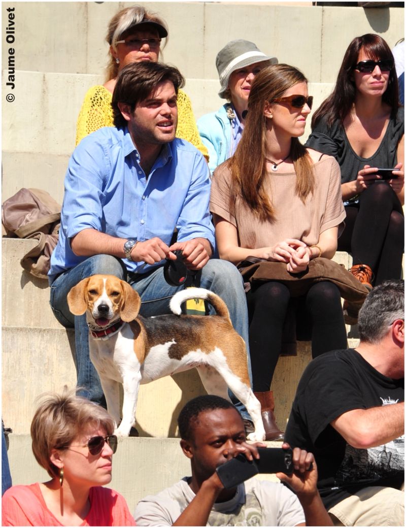 jazz2012_2207 � Jaume Olivet