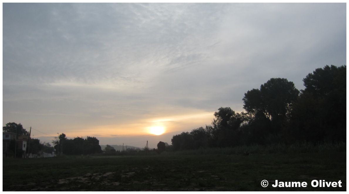 Globo_0312 � Jaume Olivet