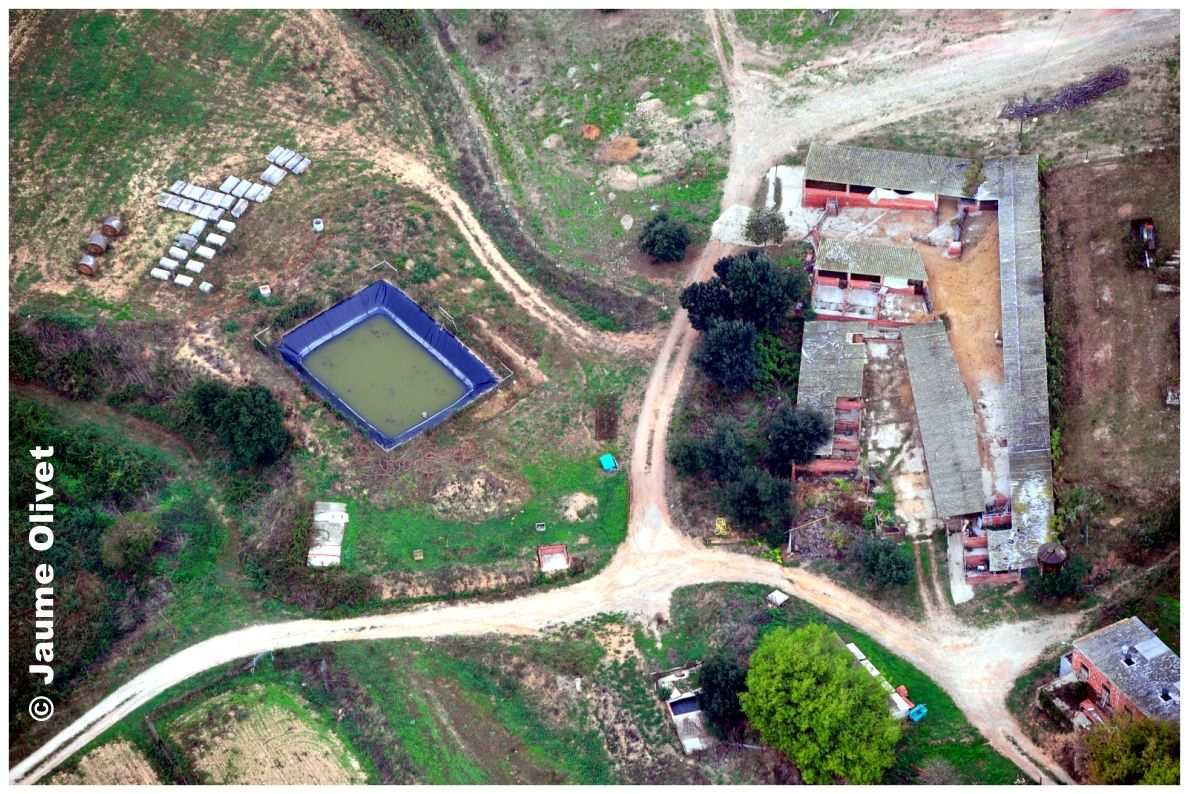 Globo_0502 � Jaume Olivet