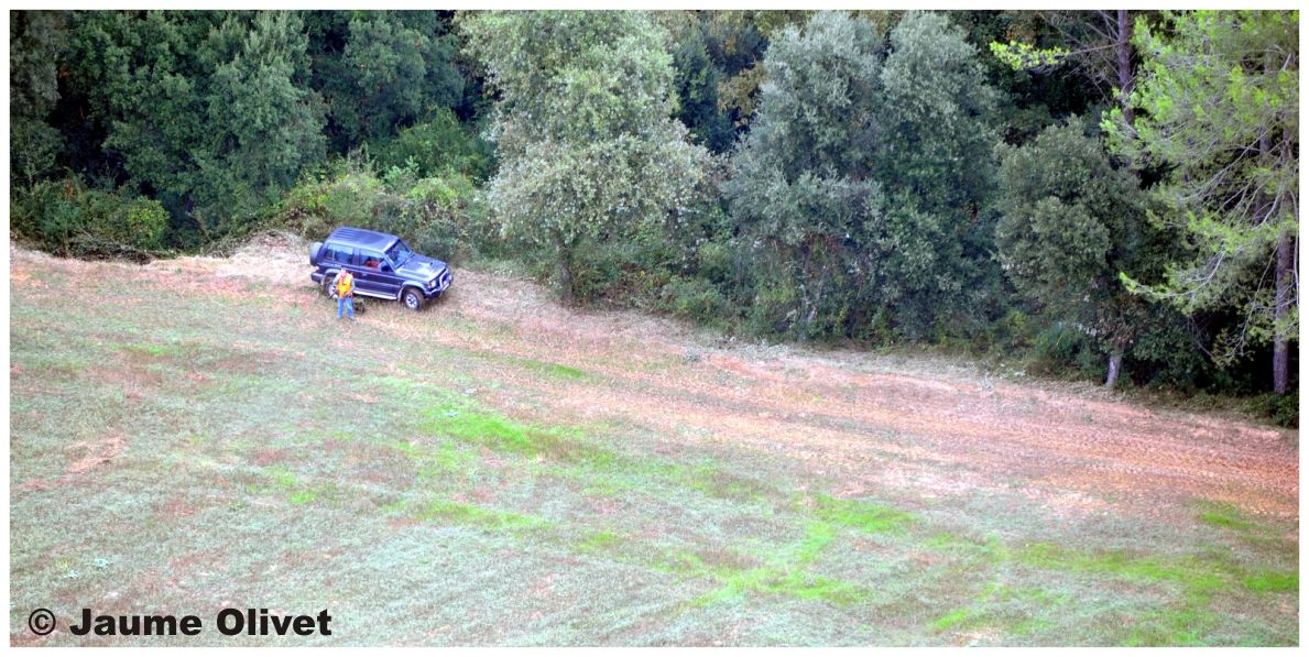 Globo_0510 � Jaume Olivet