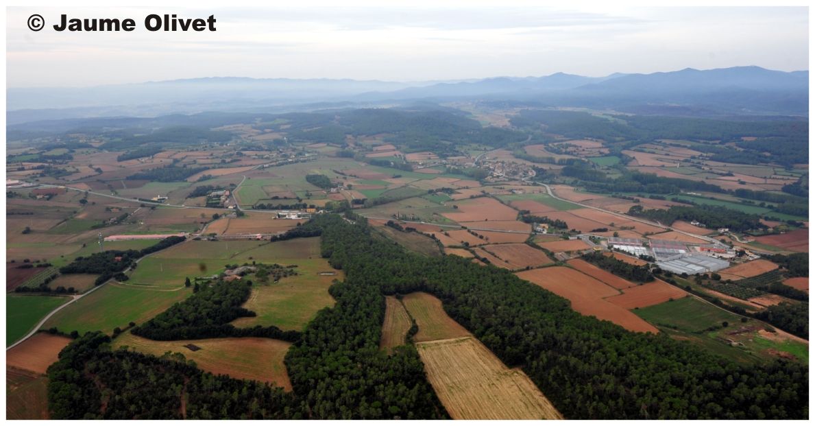 Globo_0613 � Jaume Olivet