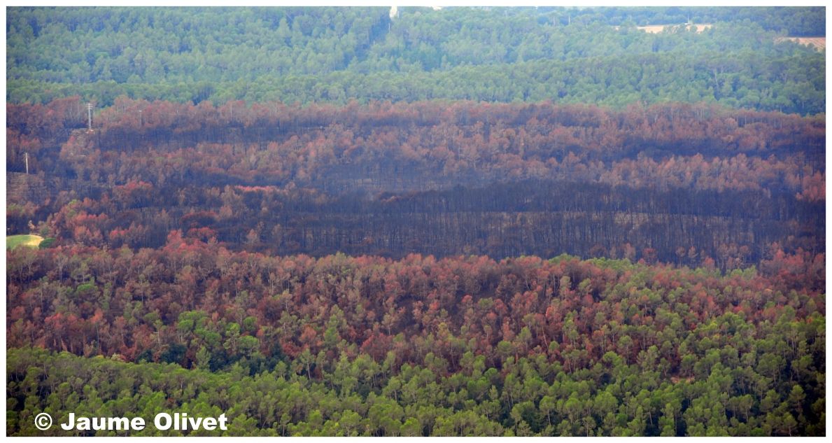 Globo_0704 � Jaume Olivet