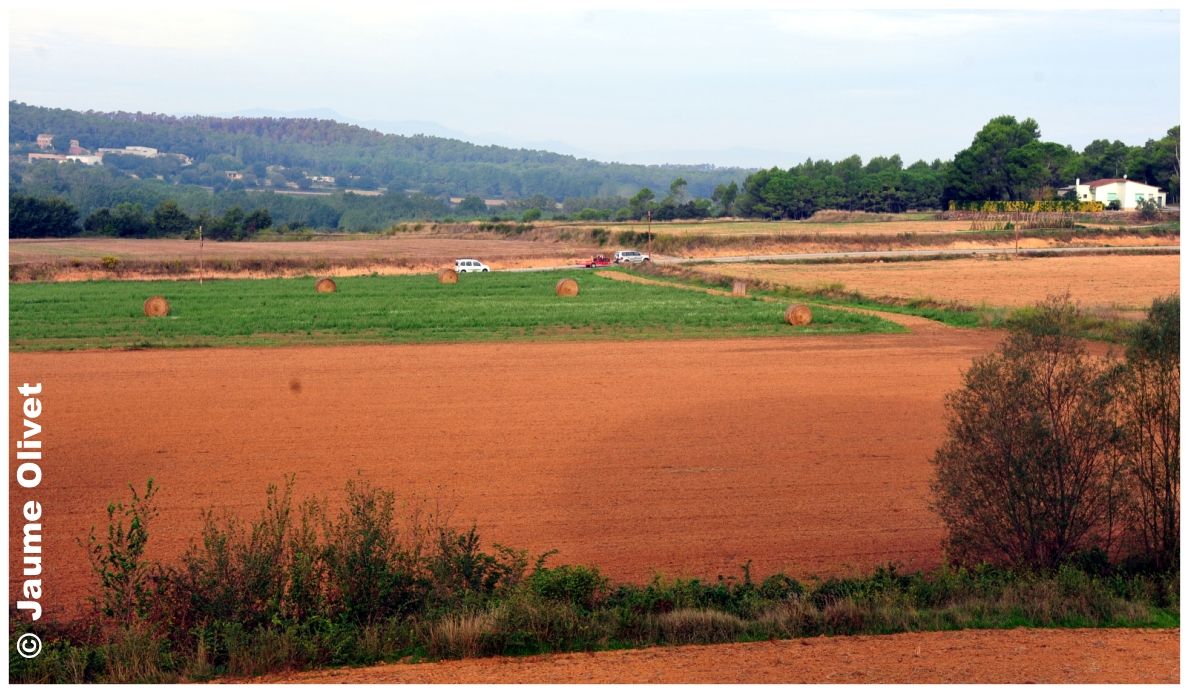 Globo_0805 � Jaume Olivet