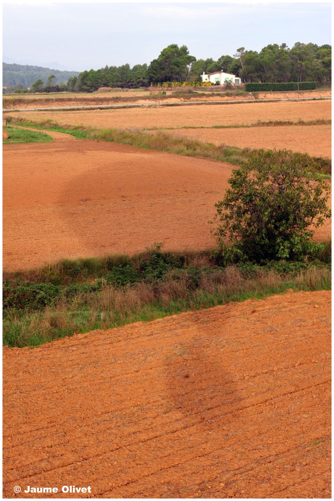 Globo_0806 � Jaume Olivet