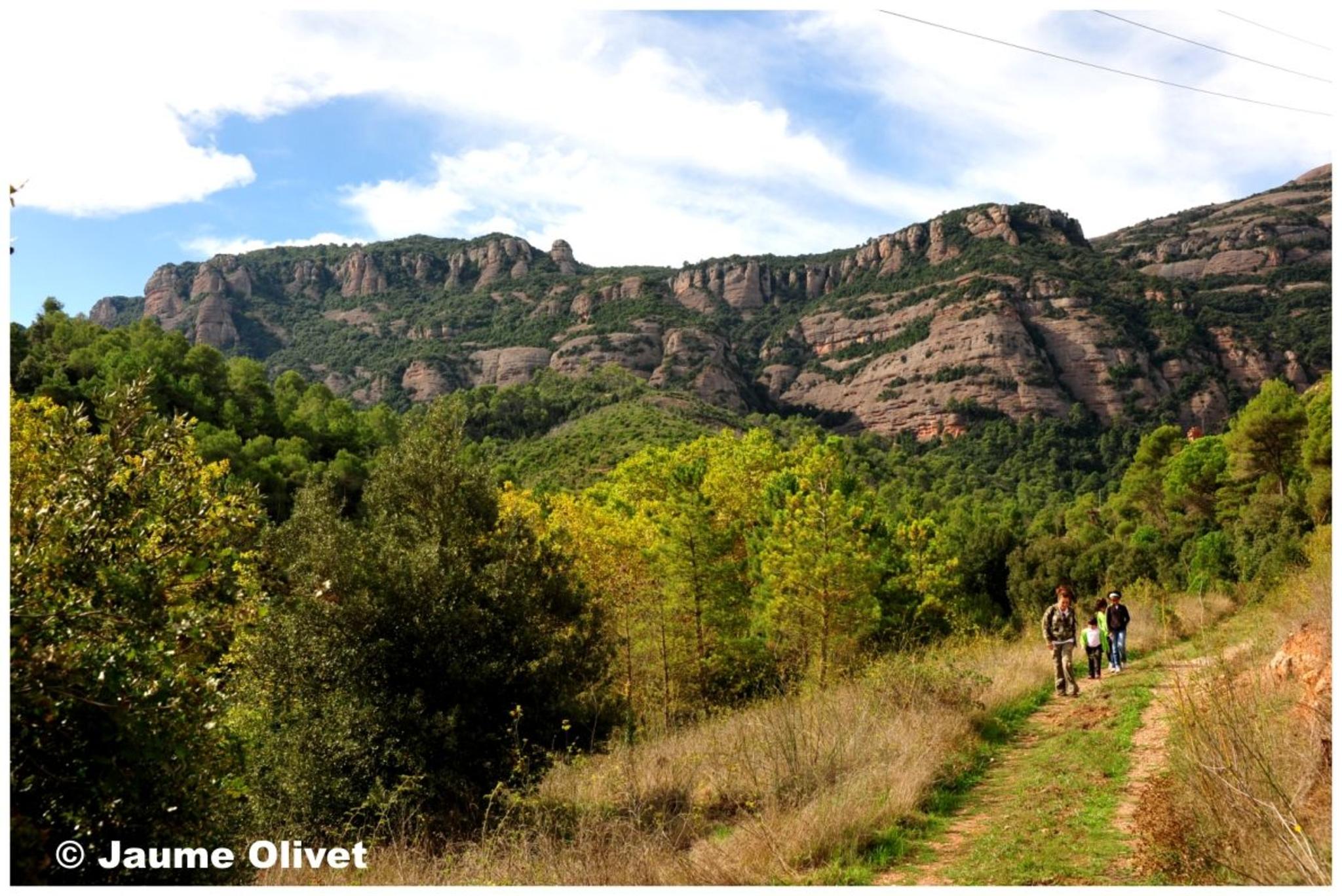 � Jaume Olivet 2012