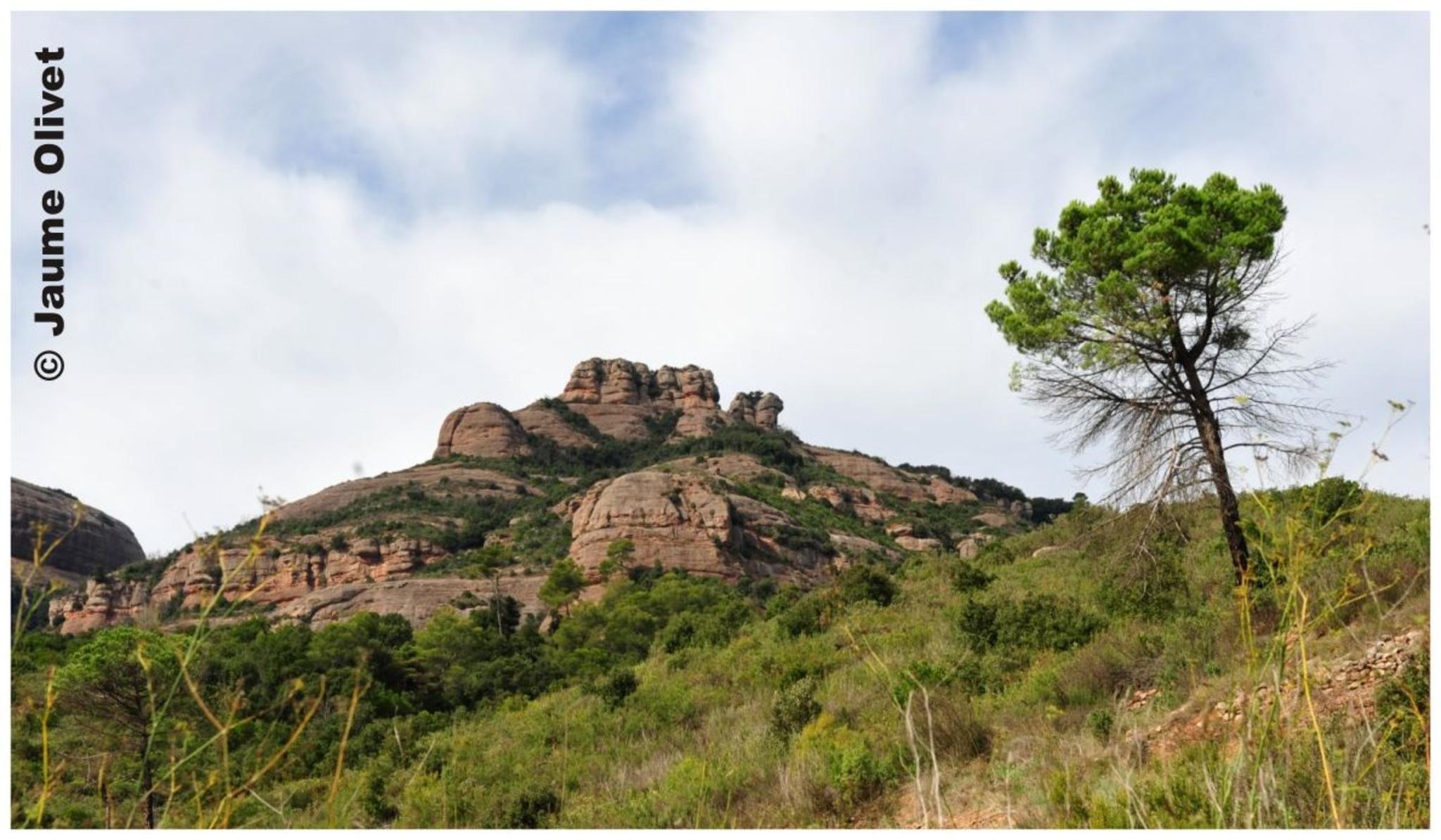 � Jaume Olivet 2012