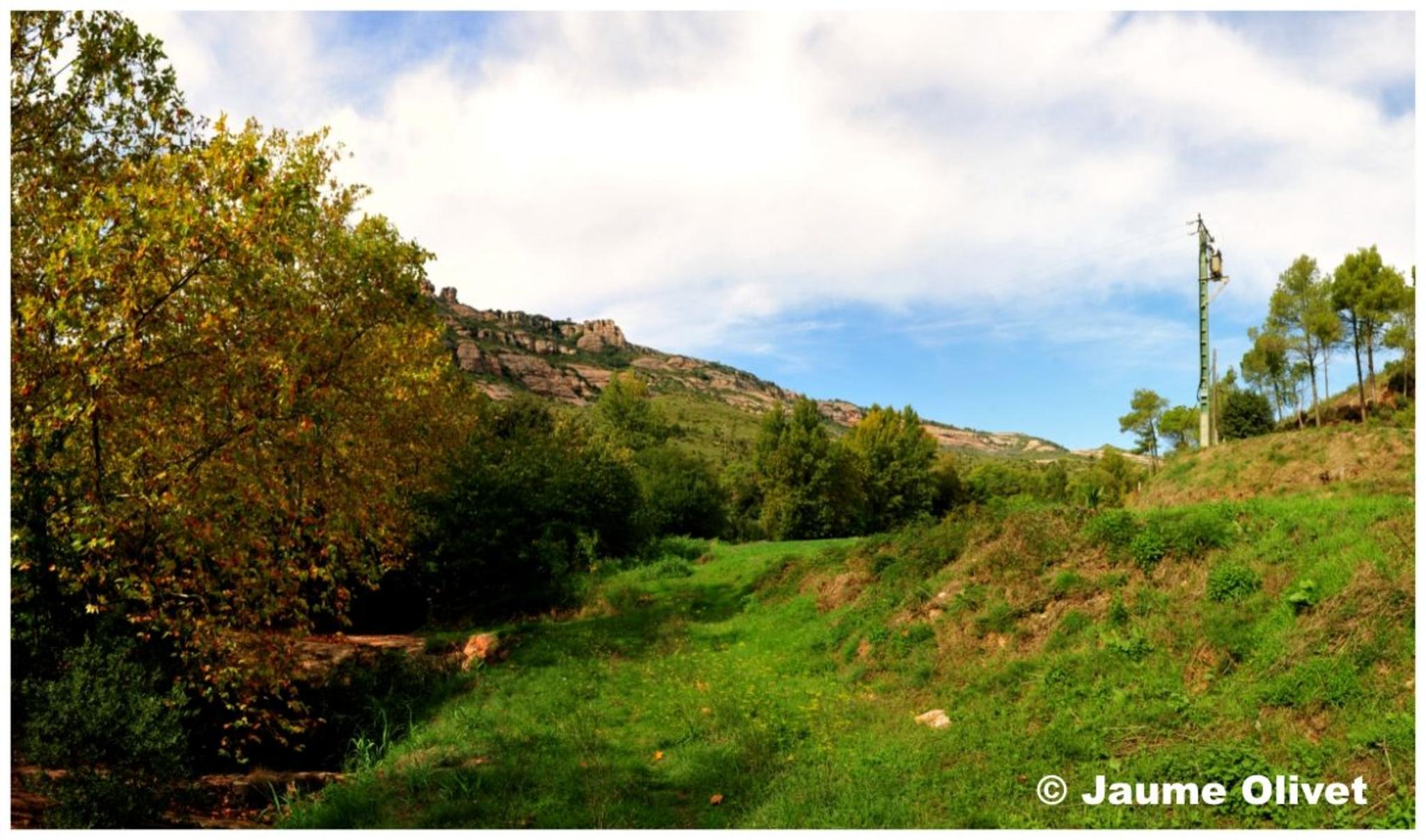 � Jaume Olivet 2012