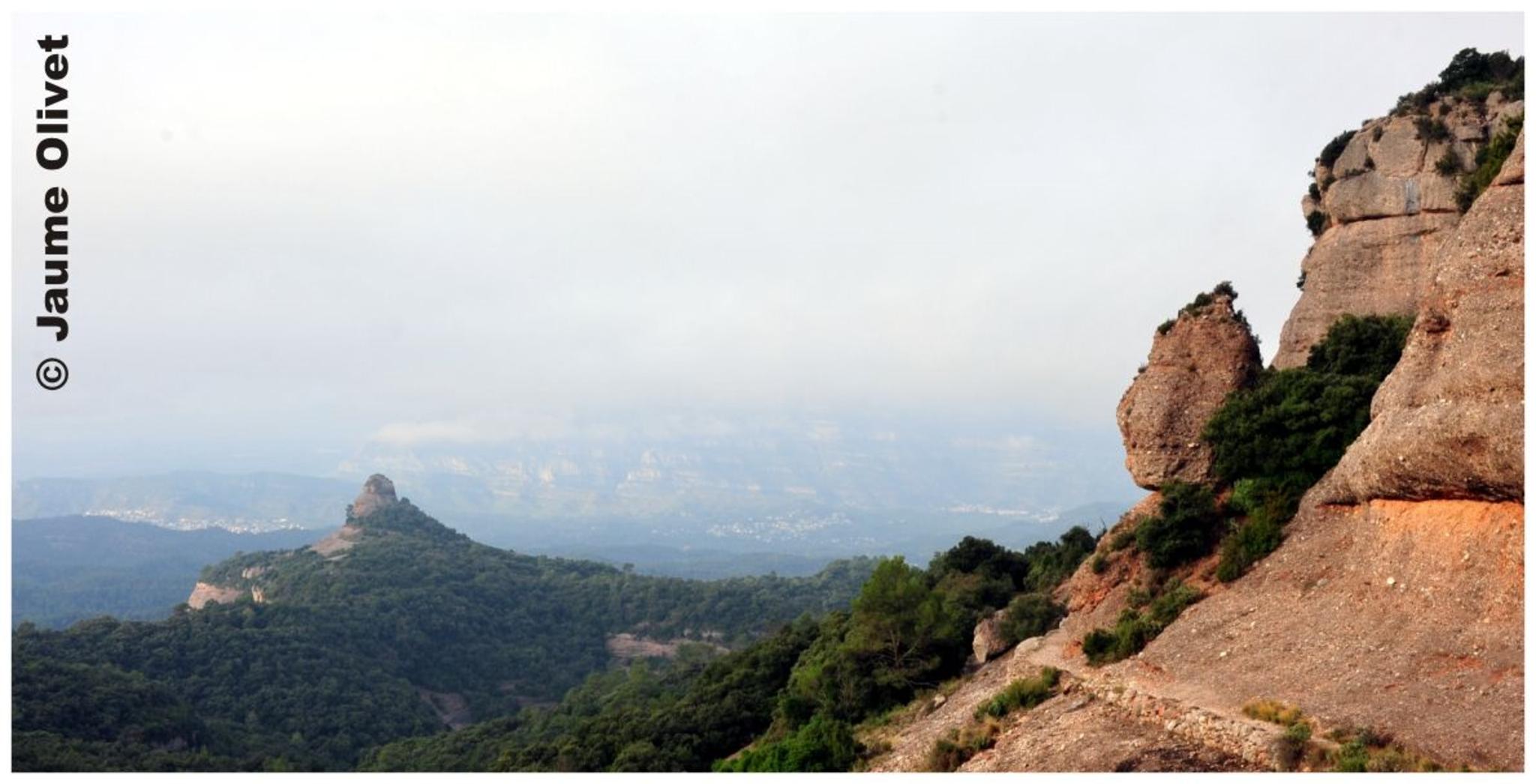 � Jaume Olivet 2012