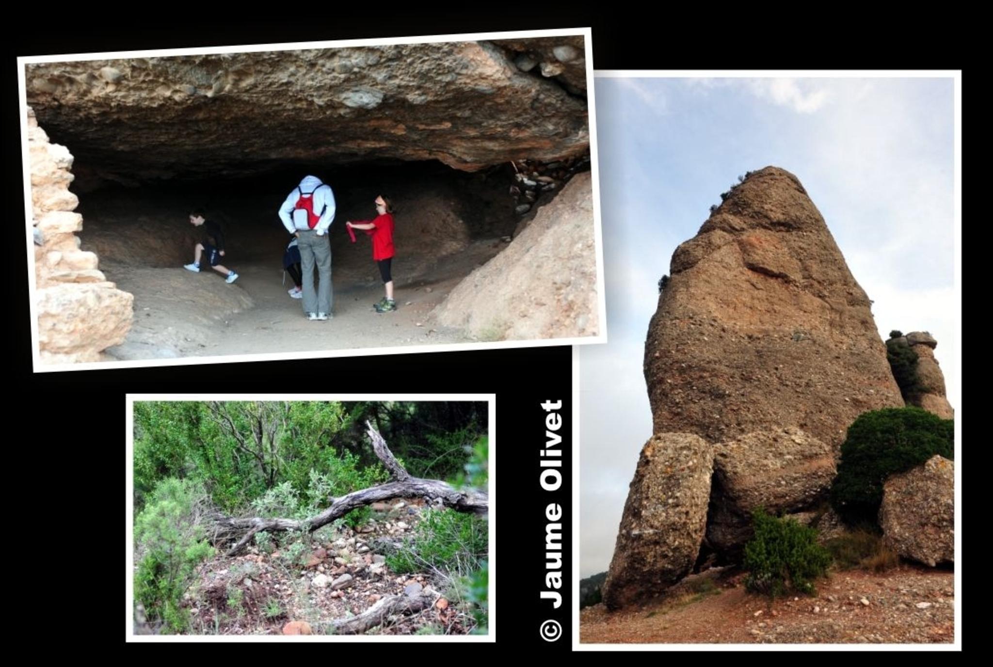 � Jaume Olivet 2012